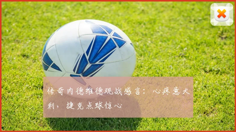 传奇内德维德观战感言：心疼意大利，捷克点球惊心